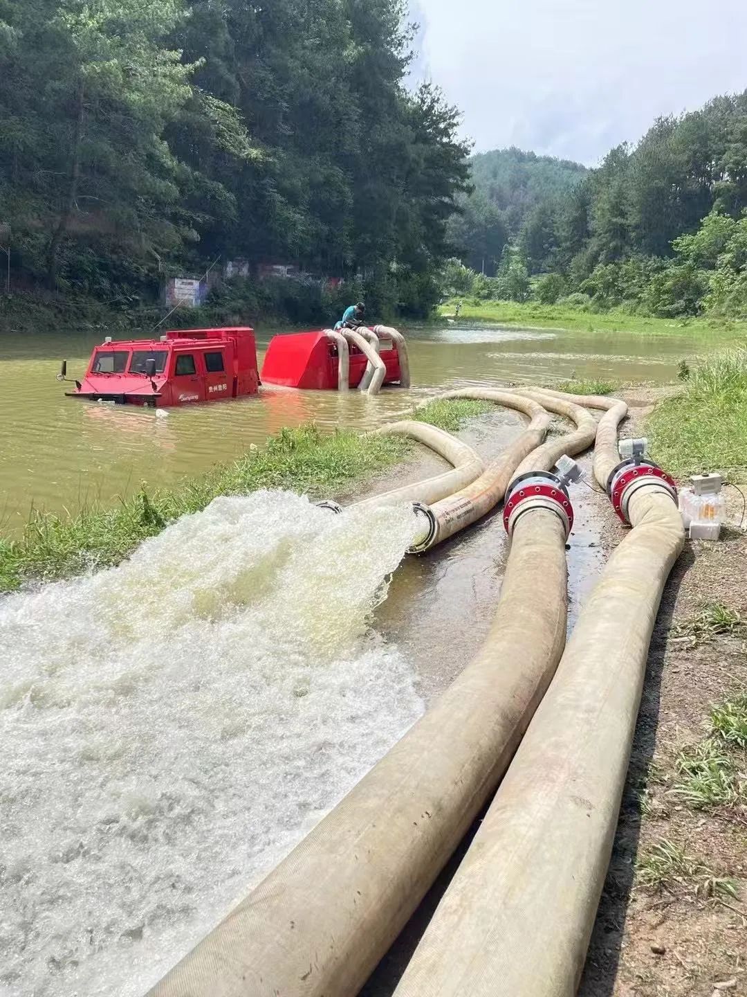 499ce2d84fafe8b833be9f0ea0a8d4d